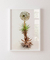 Quadro Floripa - Praia da Joaquina 05 - comprar online
