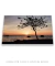 Imagem do Quadro Decorativo Avenida Beira Mar 03