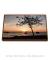 Quadro Decorativo Avenida Beira Mar 03 - comprar online