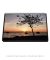 Quadro Decorativo Avenida Beira Mar 03 - comprar online