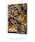 Imagem do Quadro Cachoeiras 06