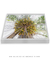 Quadro Coqueiros 01 - loja online