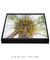 Quadro Coqueiros 01 - loja online