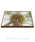 Quadro Coqueiros 01 - Galeria Fernanda Marcondes | Quadros Decorativos