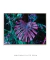 Quadro Abstrato Cromoverso 12 - comprar online