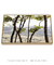 Quadro Decorativo Árvores 07 - comprar online