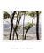 Quadro Decorativo Árvores 07 - loja online