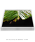 Quadro Decorativo Bananeiras 07 - loja online