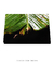 Imagem do Quadro Decorativo Bananeiras 07