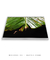Imagem do Quadro Decorativo Bananeiras 07