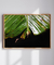 Quadro Decorativo Bananeiras 07