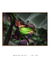 Quadro Decorativo Bananeiras 09 na internet