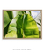 Imagem do Quadro Decorativo Bananeiras 15