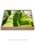 Quadro Decorativo Bananeiras 15