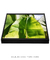 Quadro Decorativo Bananeiras 15 - loja online