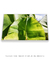 Quadro Decorativo Bananeiras 15