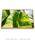 Quadro Decorativo Bananeiras 15 - comprar online