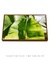 Quadro Decorativo Bananeiras 15 na internet