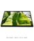 Quadro Decorativo Bananeiras 15 - loja online