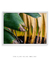 Quadro Decorativo Bananeiras 16 - Galeria Fernanda Marcondes | Quadros Decorativos
