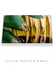 Quadro Decorativo Bananeiras 16