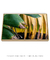 Quadro Decorativo Bananeiras 16 - comprar online