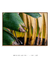 Quadro Decorativo Bananeiras 16 - comprar online
