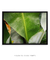 Quadro Decorativo Bananeiras 17 - Galeria Fernanda Marcondes | Quadros Decorativos