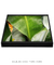 Quadro Decorativo Bananeiras 17 - loja online