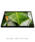 Quadro Decorativo Bananeiras 17 - loja online