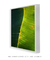 Quadro Decorativo Bananeiras 19 - loja online