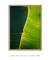 Imagem do Quadro Decorativo Bananeiras 19