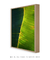 Quadro Decorativo Bananeiras 19