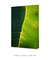 Imagem do Quadro Decorativo Bananeiras 19