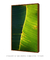Quadro Decorativo Bananeiras 19 na internet