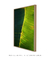 Quadro Decorativo Bananeiras 19 - comprar online