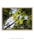 Imagem do Quadro Decorativo Embaúba 011