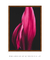 Quadro Decorativo Folhagens 09 - comprar online