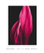 Quadro Decorativo Folhagens 09 - comprar online
