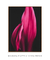 Quadro Decorativo Folhagens 09 - comprar online