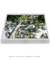 Quadro Decorativo Guarapuvu 03 - loja online