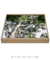 Quadro Decorativo Guarapuvu 03