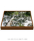Quadro Decorativo Guarapuvu 03 na internet