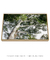 Quadro Decorativo Guarapuvu 03 - comprar online