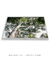 Imagem do Quadro Decorativo Guarapuvu 03