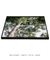 Quadro Decorativo Guarapuvu 03 - loja online