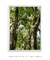 Quadro Decorativo Imbé 05 - Galeria Fernanda Marcondes | Quadros Decorativos