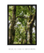 Quadro Decorativo Imbé 05 - Galeria Fernanda Marcondes | Quadros Decorativos