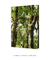 Imagem do Quadro Decorativo Imbé 05