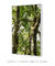 Quadro Decorativo Imbé 05